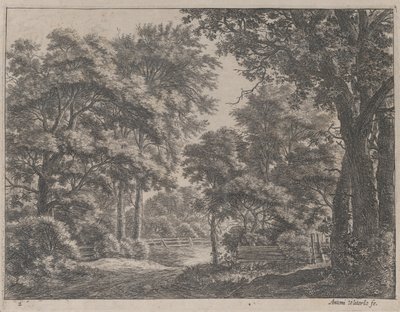 Die gestutzten Haine, 17. Jahrhundert von Anthonie Waterloo