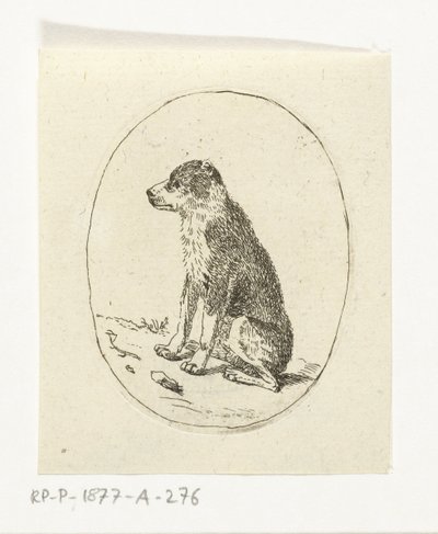 Sitzender Hund von Anthonie van den Bos