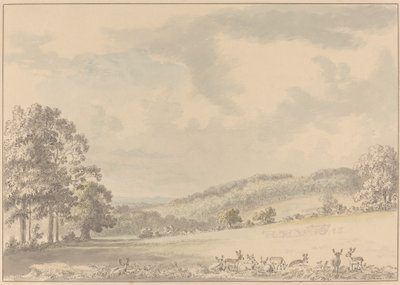 Hirsche ruhen im Albury Park von Anthony Devis