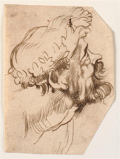 Kopf eines Mannes von Anthony van Dyck