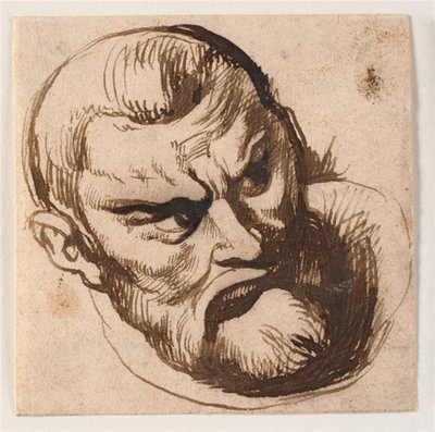 Mandehoved von Anthony van Dyck