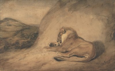 Ruhender Löwe, 1810-75 von Antoine Louis Barye