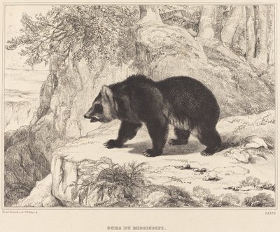 Mississippi-Bär von Antoine Louis Barye