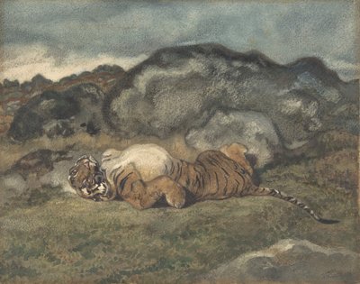 Tiger rollt auf dem Rücken, 1810-75 von Antoine Louis Barye