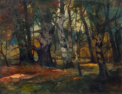 Herbstwald von Anton Müller Wischin