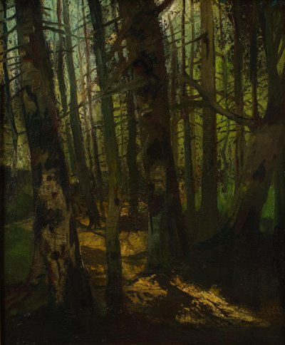 Waldlichtung von Anton Müller Wischin