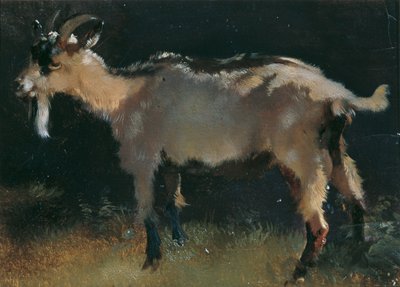 Ziege von Anton Schrodl