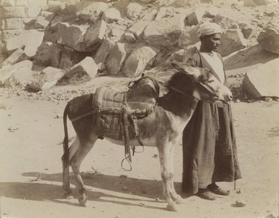 Bourier und Bouriquer, Ägypten von Antonio Beato