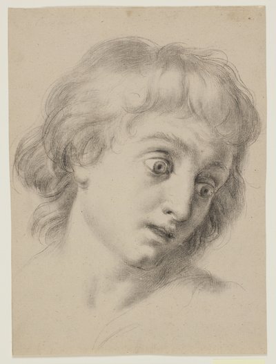 Kopf eines Jungen von Antonio Cavallucci
