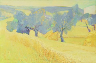Olivenbäume in der Toskana, 1966 von Antonio Ciccone