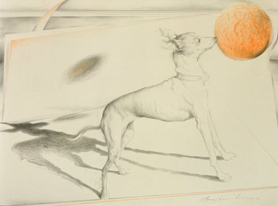 Weltraumhund von Antonio Ciccone