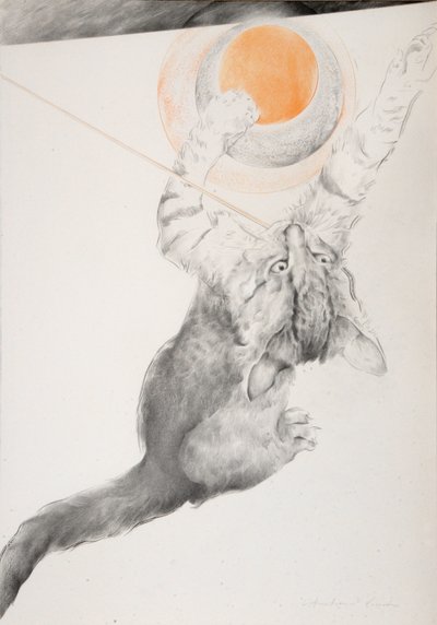 Unbekanntes Bild von Antonio Ciccone