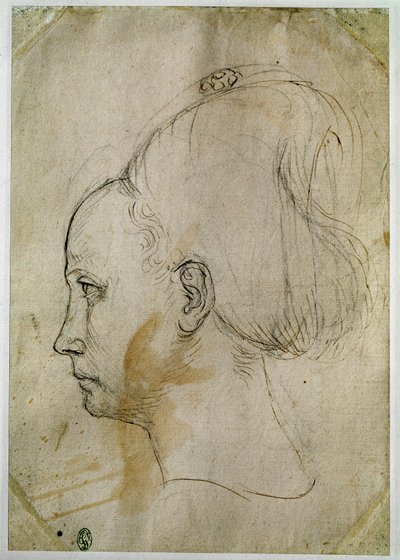 Kopf einer jungen Frau, Profil nach links von Antonio Pisanello