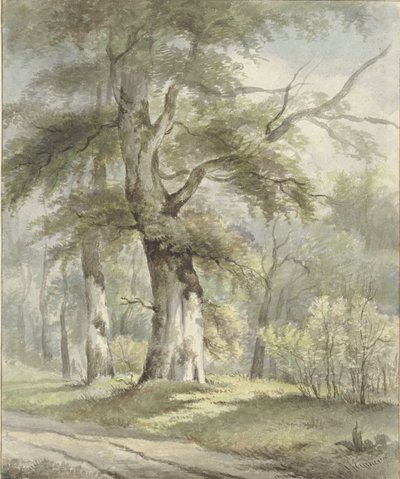Waldansicht von Arnoldus Johannes Eymer