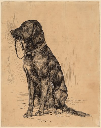 Aldrichs Hund von Arthur B. Davies