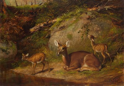 Reh und zwei Kitze von Arthur Fitzwilliam Tait
