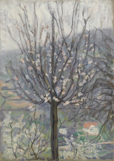 Blüte, früher Morgen von Arthur Haythorne Studd