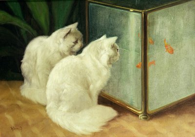 Weiße Katzen beobachten Goldfische von Arthur Heyer