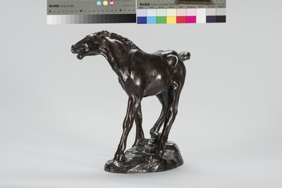Fohlen (Bronze) von Arthur Putnam
