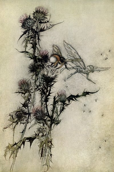 Ein Sommernachtstraum von Arthur Rackham