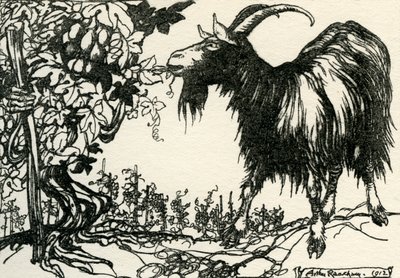 Äsops Fabeln von Arthur Rackham