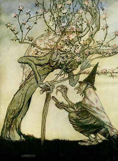 Die zwei Schwestern von Arthur Rackham