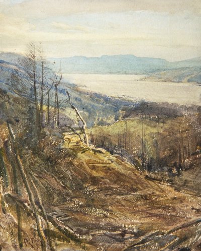 Coniston von Near Tarn Hows von Arthur Reginald Smith