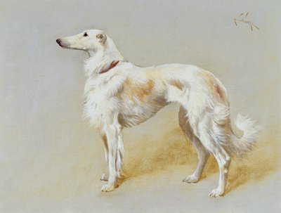 Ein Borzoi-Hund von Arthur Wardle