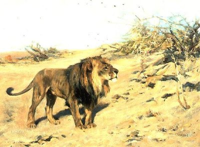 Ein Löwe im Gebüsch von Arthur Wardle
