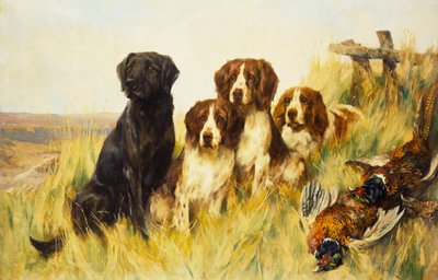 Nach vorne schauen von Arthur Wardle