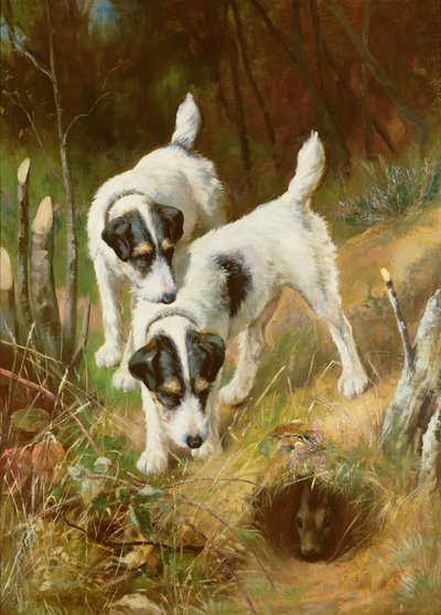 Terrier beim Kaninchenjagen von Arthur Wardle