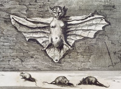 Cattus volans, 1667 von Athanasius Kircher