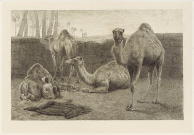 Kamele von August Le Gras
