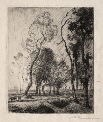 Sonnenuntergang hinter den Bäumen von Auguste Louis Lepère