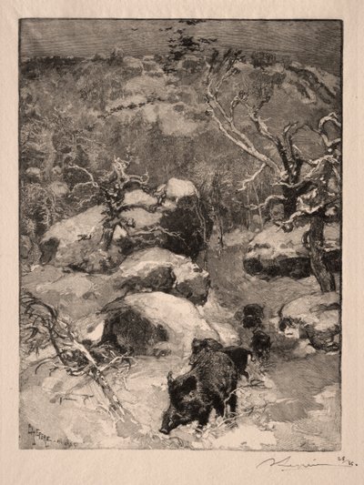 Roche Cuvier Chatillon, 1887 von Auguste Louis Lepère