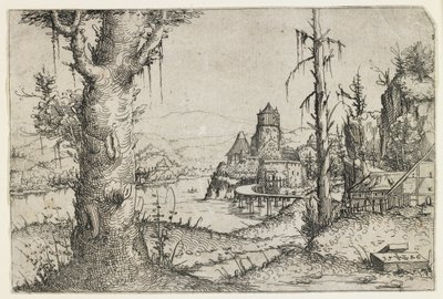 Großer Baum und Schloss an einem See von Augustin Hirschvogel