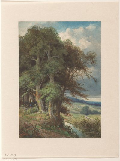 Hohe Bäume entlang eines Baches von Augustin Taurel