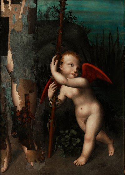 Amor mit einer Myrte, vor 1593 von Aurelio Luini