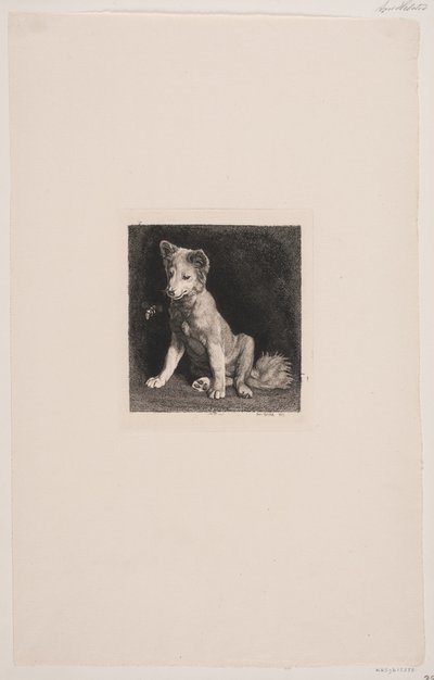 Der Hund und die Biene von Axel Helsted