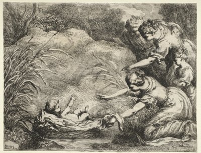 Moses aus dem Nil gerettet von Bartolomeo Biscaino