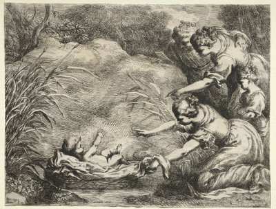 Moses aus dem Nil gerettet von Bartolomeo Biscaino