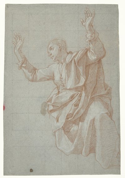 Studie eines jungen Mannes von Bartolomeo Cesi