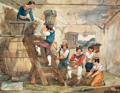 Erntearbeiter bringen Trauben zur Presse von Bartolomeo Pinelli