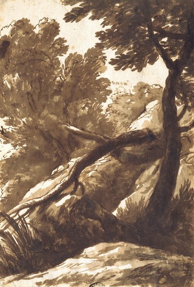 Waldlandschaft von Bartolomeo Torregiani