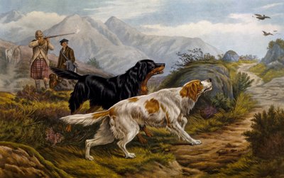 Moorhuhnjagd von Basil Bradley