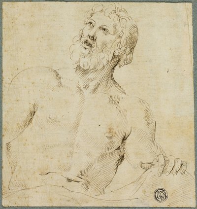 Halblanges Skizze eines bärtigen Mannes (Jupiter?) von Battista Franco