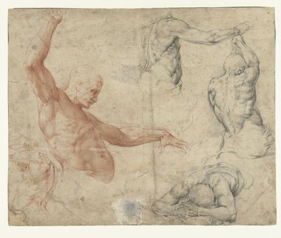 Aktstudien eines Mannes von Battista Franco