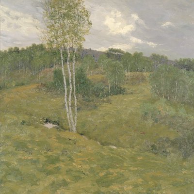 Birkenbewachsene Hügel von Ben Foster