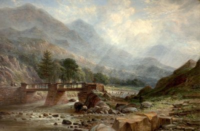In der Nähe von Beddgelert von Benjamin Shipham