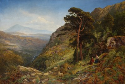 Auf den Hügeln über Betws-y-Coed, Wales von Benjamin Williams Leader